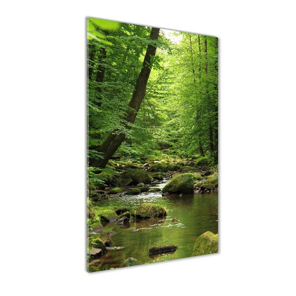 Quadro di vetro verticale Fiume nella foresta