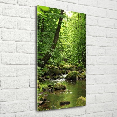 Quadro di vetro verticale Fiume nella foresta