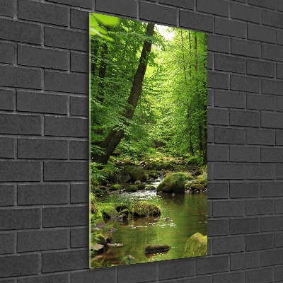 Quadro di vetro verticale Fiume nella foresta