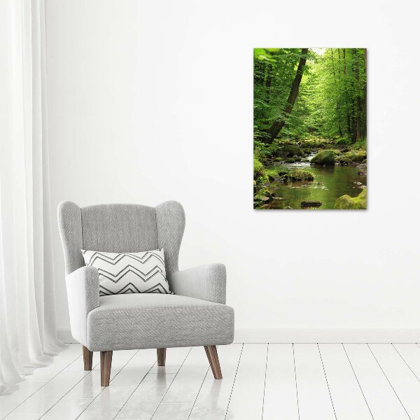 Quadro di vetro verticale Fiume nella foresta