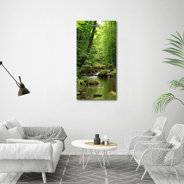 Quadro di vetro verticale Fiume nella foresta