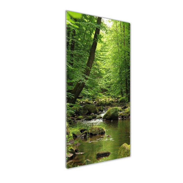 Quadro di vetro verticale Fiume nella foresta