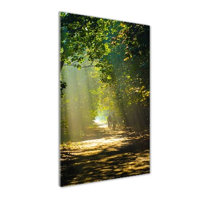 Quadro vetro verticale Sentiero nella foresta