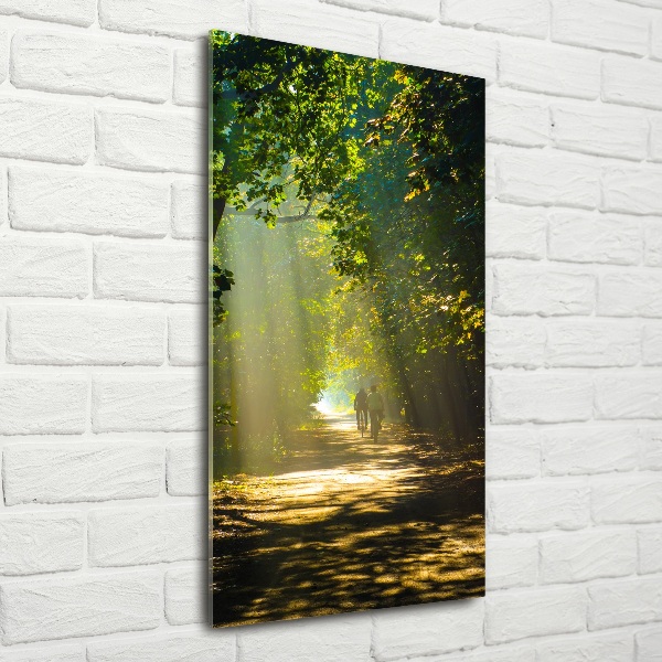 Quadro vetro verticale Sentiero nella foresta