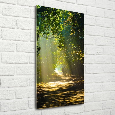 Quadro vetro verticale Sentiero nella foresta