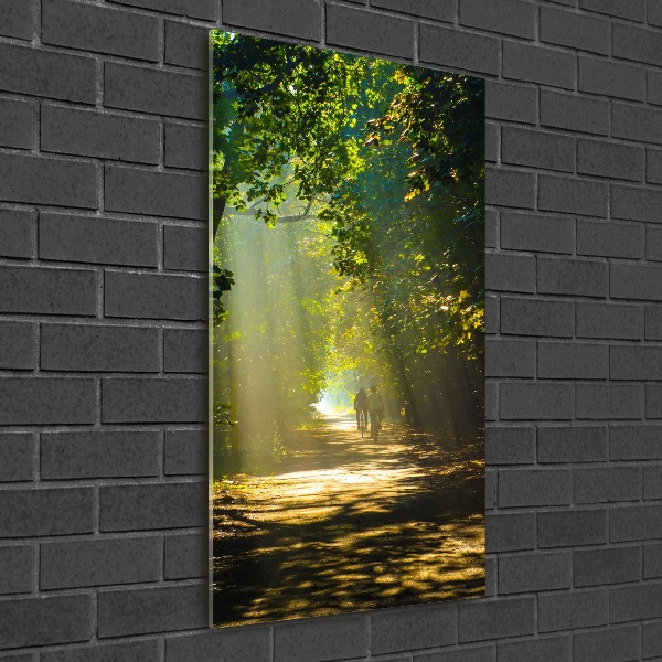 Quadro vetro verticale Sentiero nella foresta