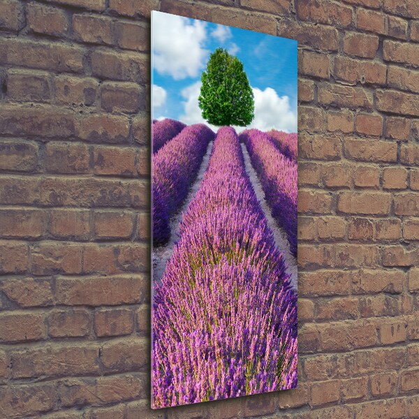 Quadro di vetro verticale Campo di lavanda