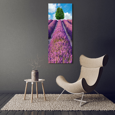 Quadro di vetro verticale Campo di lavanda