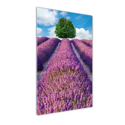 Quadro di vetro verticale Campo di lavanda
