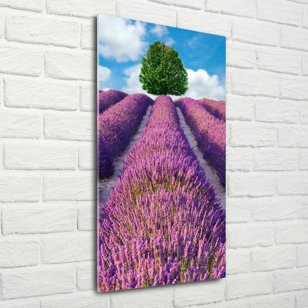 Quadro di vetro verticale Campo di lavanda