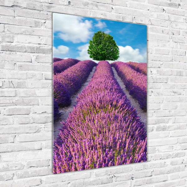 Quadro di vetro verticale Campo di lavanda