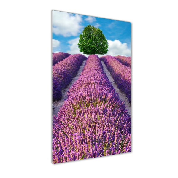 Quadro di vetro verticale Campo di lavanda