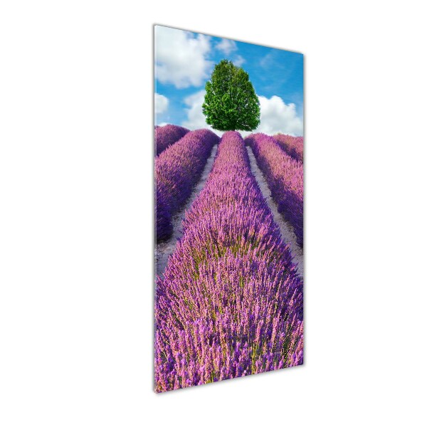 Quadro di vetro verticale Campo di lavanda