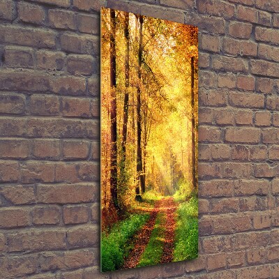 Quadro stampa su vetro verticale Foresta in autunno