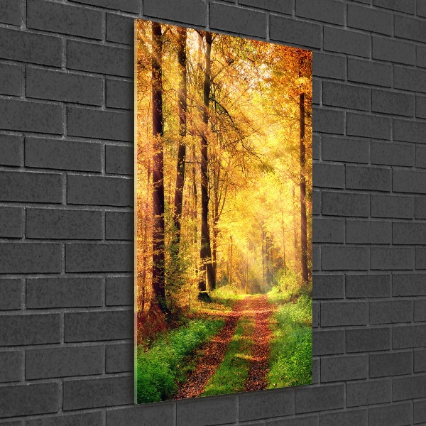 Quadro stampa su vetro verticale Foresta in autunno