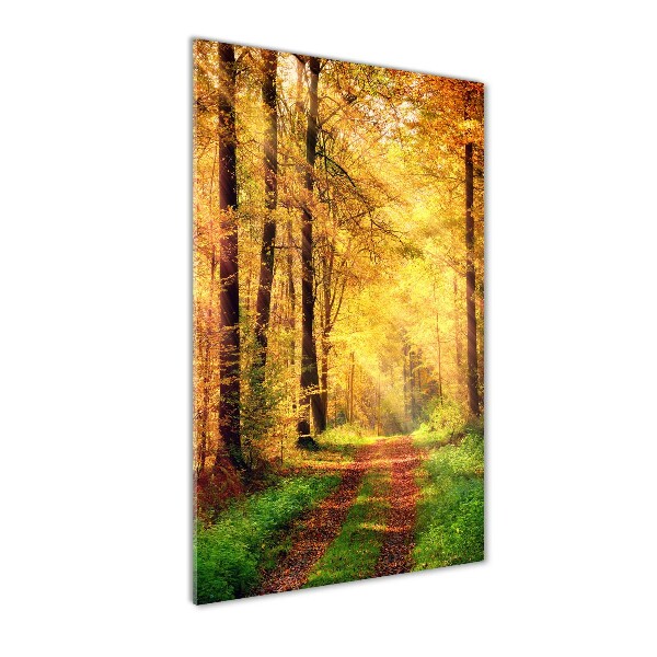 Quadro stampa su vetro verticale Foresta in autunno