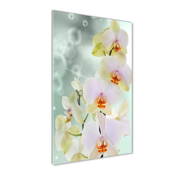 Quadro vetro verticale Orchidea
