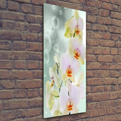 Quadro vetro verticale Orchidea