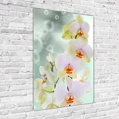 Quadro vetro verticale Orchidea