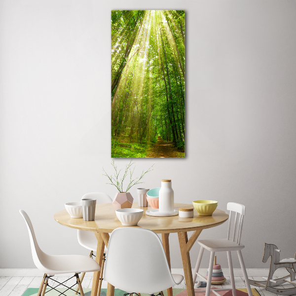 Quadro vetro verticale Sentiero nella foresta