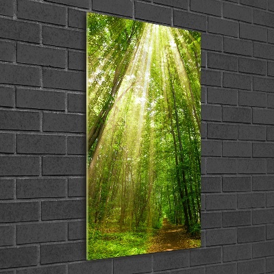 Quadro vetro verticale Sentiero nella foresta