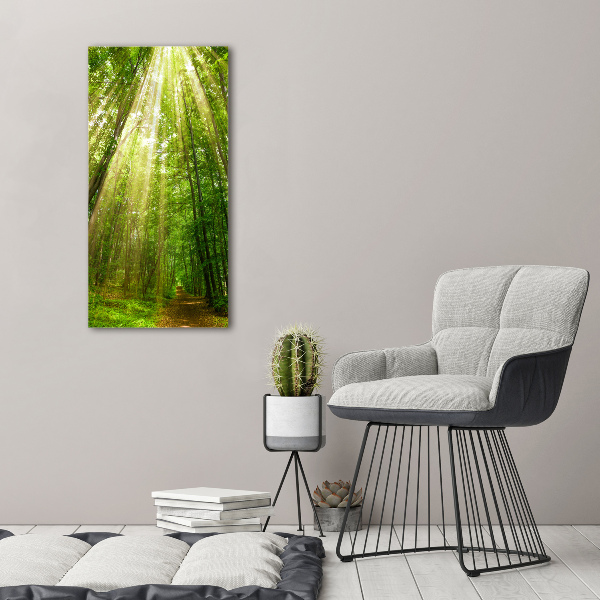 Quadro vetro verticale Sentiero nella foresta