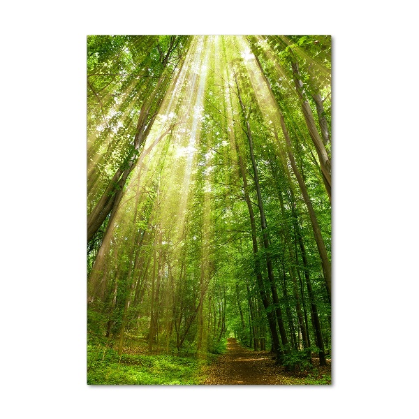 Quadro vetro verticale Sentiero nella foresta