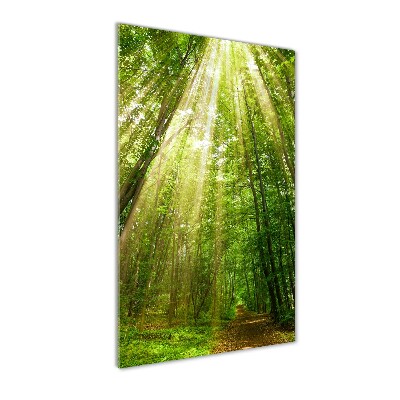 Quadro vetro verticale Sentiero nella foresta
