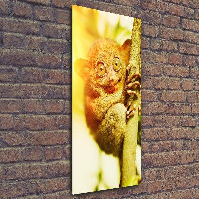 Quadro di vetro verticale Tarsio fantasma