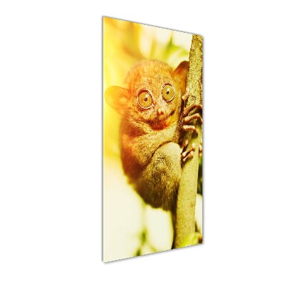Quadro di vetro verticale Tarsio fantasma