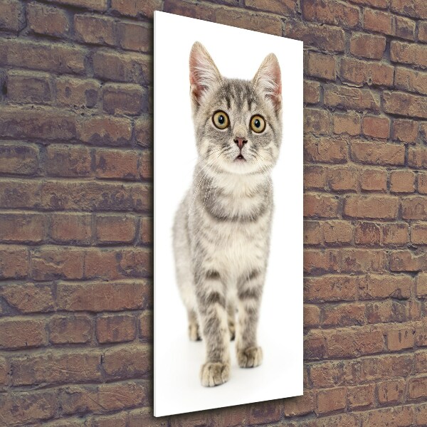Quadro stampa su vetro verticale Gatto grigio