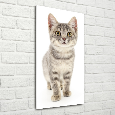 Quadro stampa su vetro verticale Gatto grigio