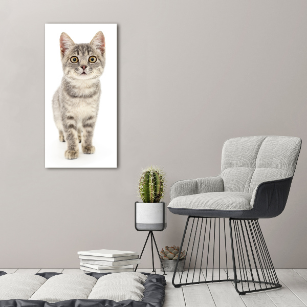 Quadro stampa su vetro verticale Gatto grigio