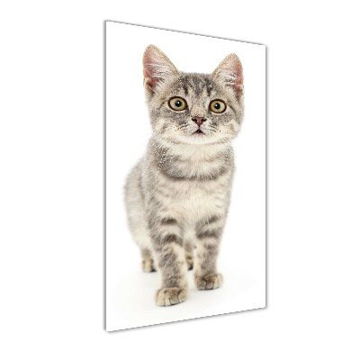 Quadro stampa su vetro verticale Gatto grigio