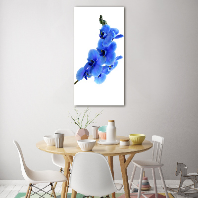 Quadro in vetro verticale Orchidea blu