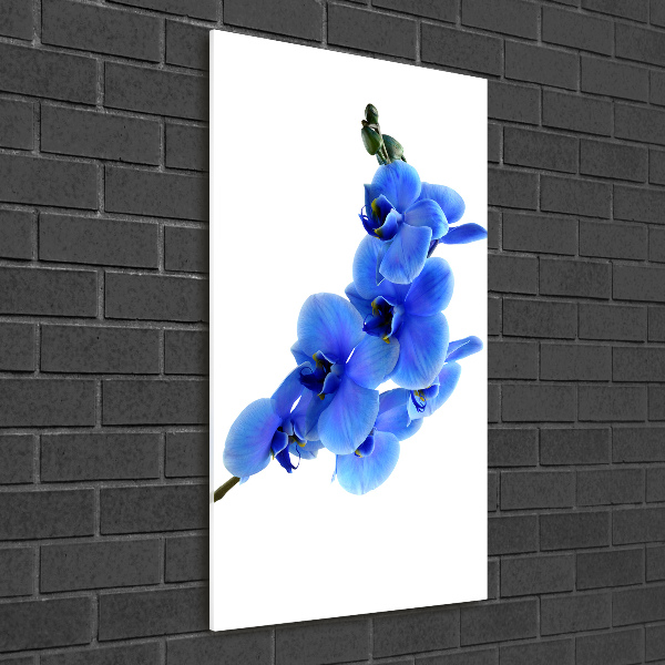 Quadro in vetro verticale Orchidea blu