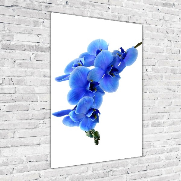Quadro in vetro verticale Orchidea blu