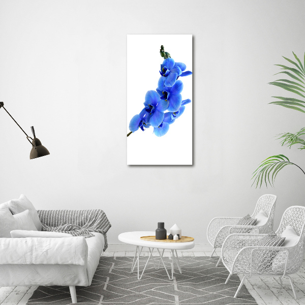 Quadro in vetro verticale Orchidea blu