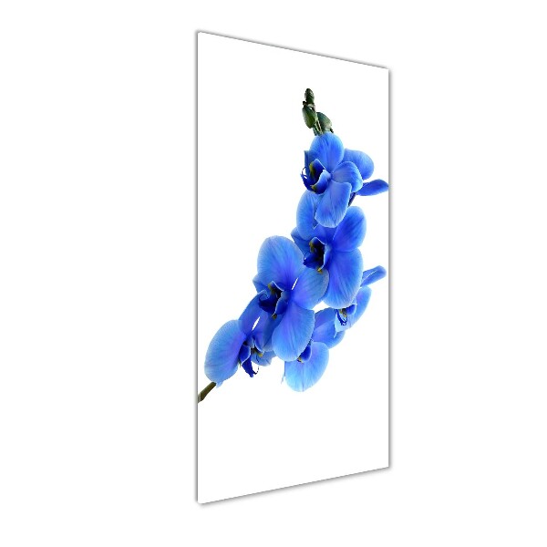 Quadro in vetro verticale Orchidea blu