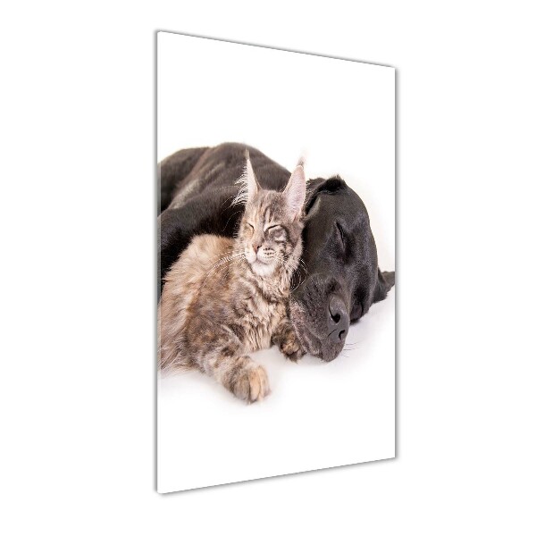 Quadro in vetro verticale Cane e gatto