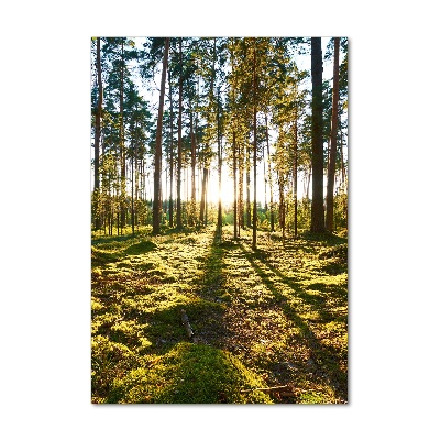 Quadro stampa su vetro verticale Pineta