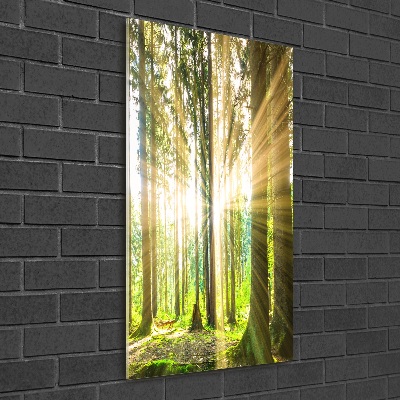 Quadro stampa su vetro verticale Il sole nella foresta