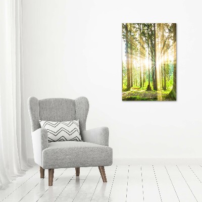 Quadro stampa su vetro verticale Il sole nella foresta