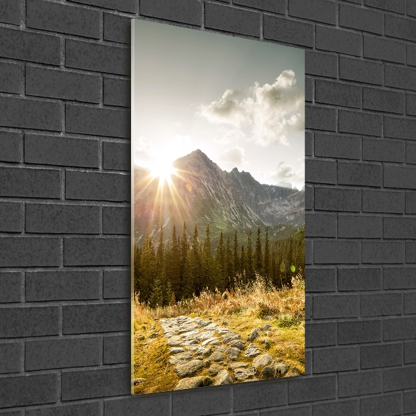 Quadro di vetro verticale Tramonto sui Monti Tatra