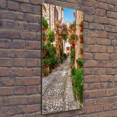 Quadro di vetro verticale Umbria Italia