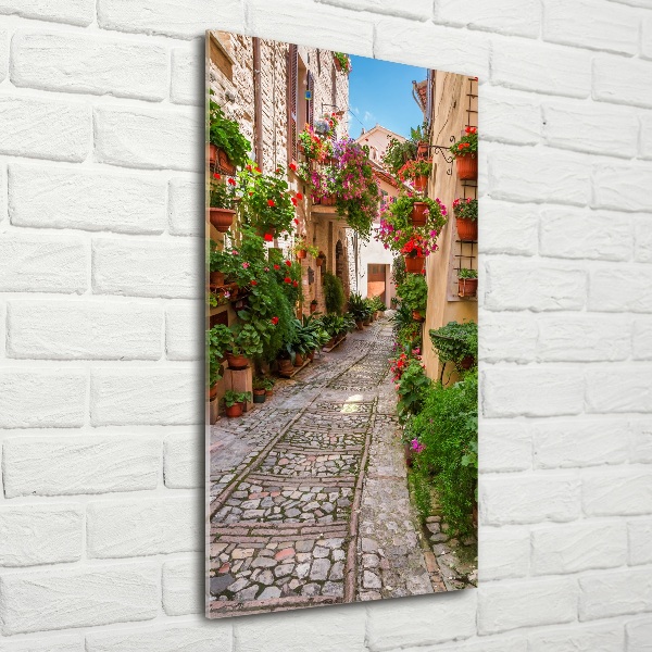 Quadro di vetro verticale Umbria Italia