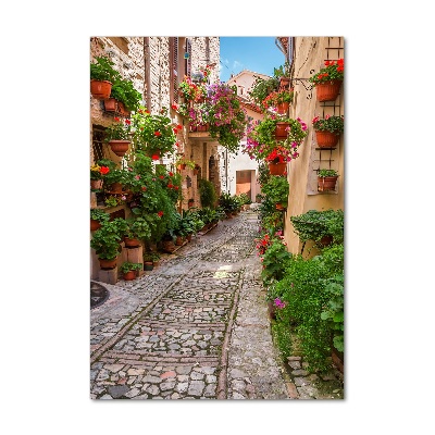 Quadro di vetro verticale Umbria Italia