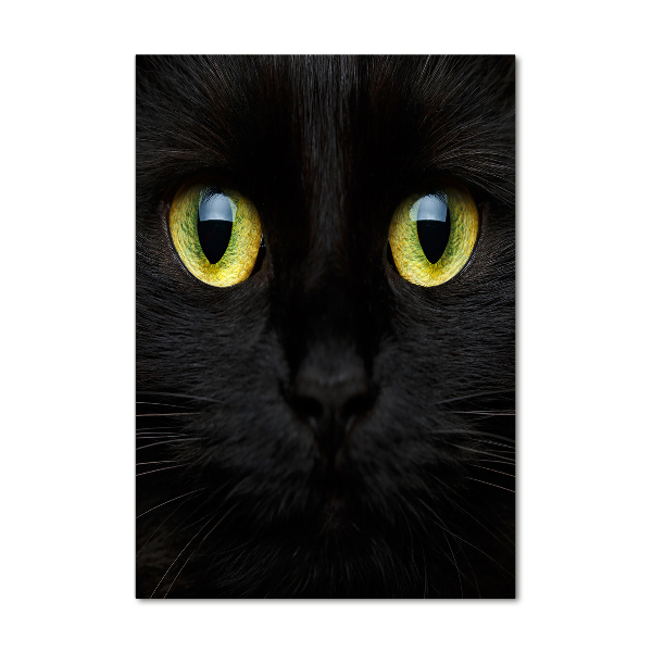 Quadro vetro verticale Occhi di gatto