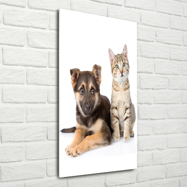 Quadro in vetro verticale Cane e gatto