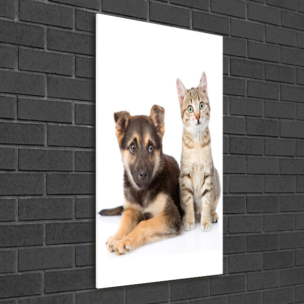 Quadro in vetro verticale Cane e gatto